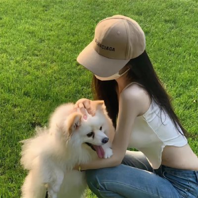 雪地黄金犬2